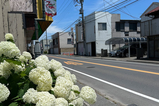 栃木県真岡市「にのみやニッチ」のマルシェイベントに出店しました